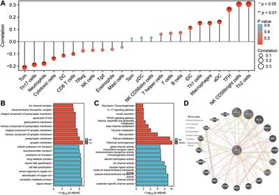 Pan-cancer analysis suggests histocompatibility minor 13 is an unfavorable prognostic biomarker promoting cell proliferation, migration, and invasion in hepatocellular carcinoma